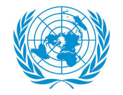 برنامه شبیه سازی سازمان ملل متحد