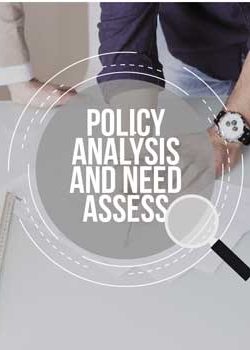 Policy Analysis and Need Assessment