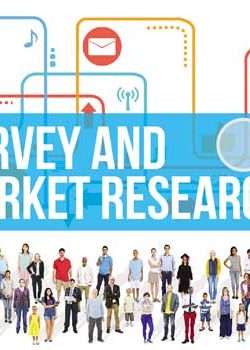 Survey and Market Research